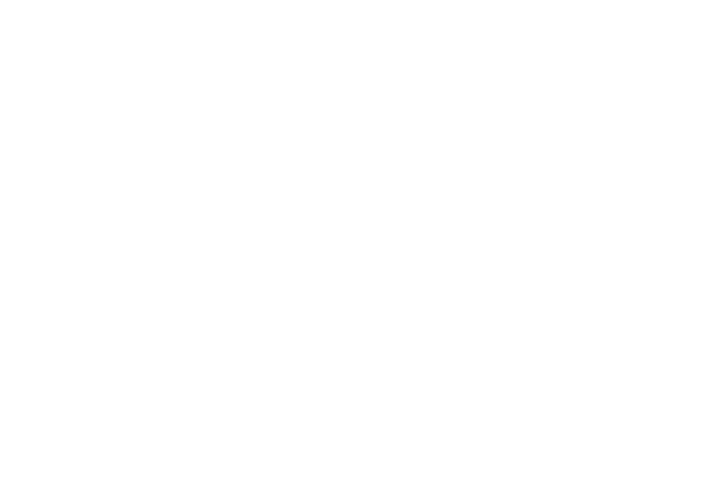 TrueHouse Logo